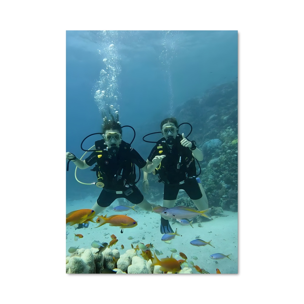 Poster Red de sea